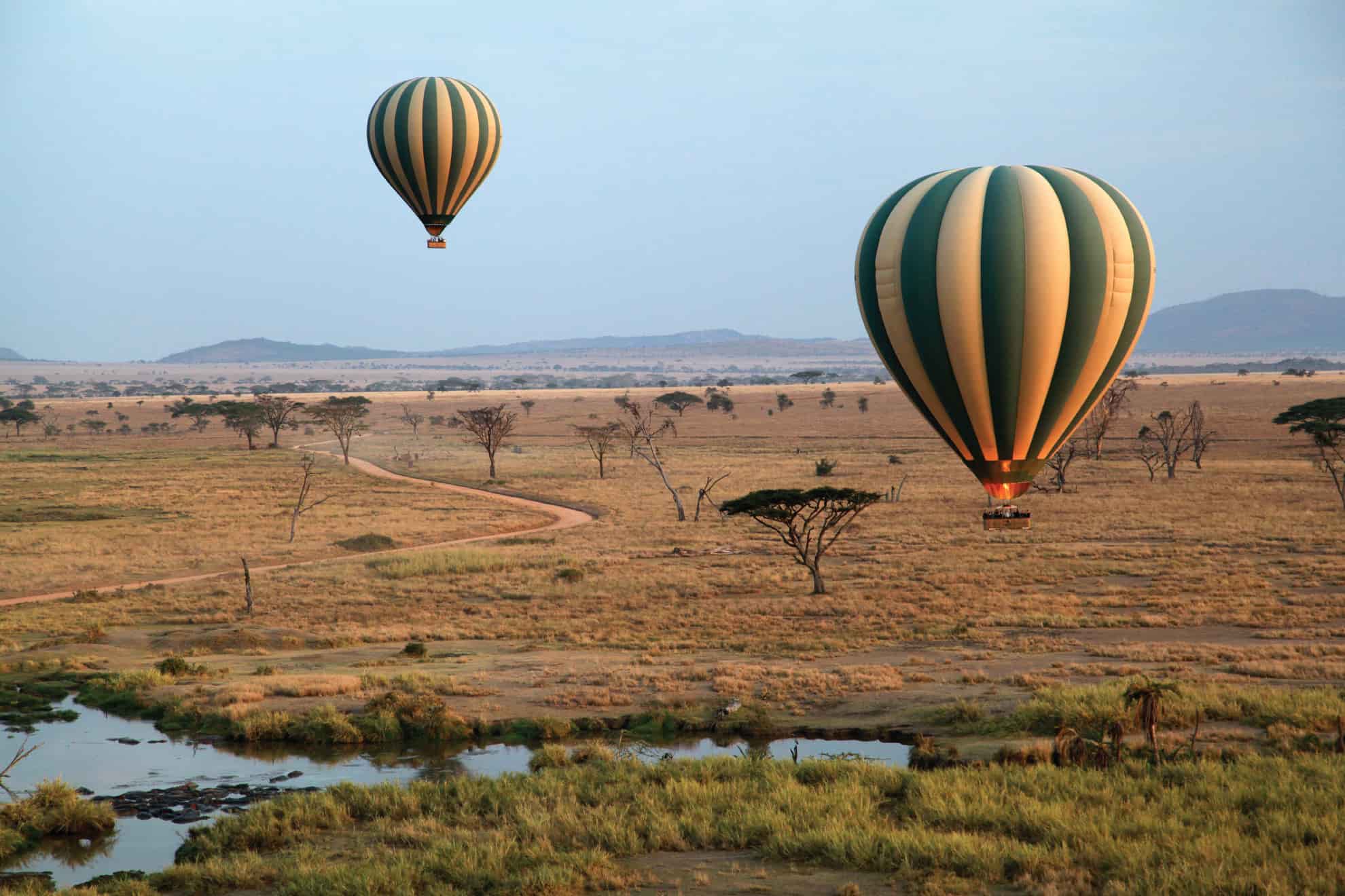 Mid-Range Tanzania Safari That Feels Luxury