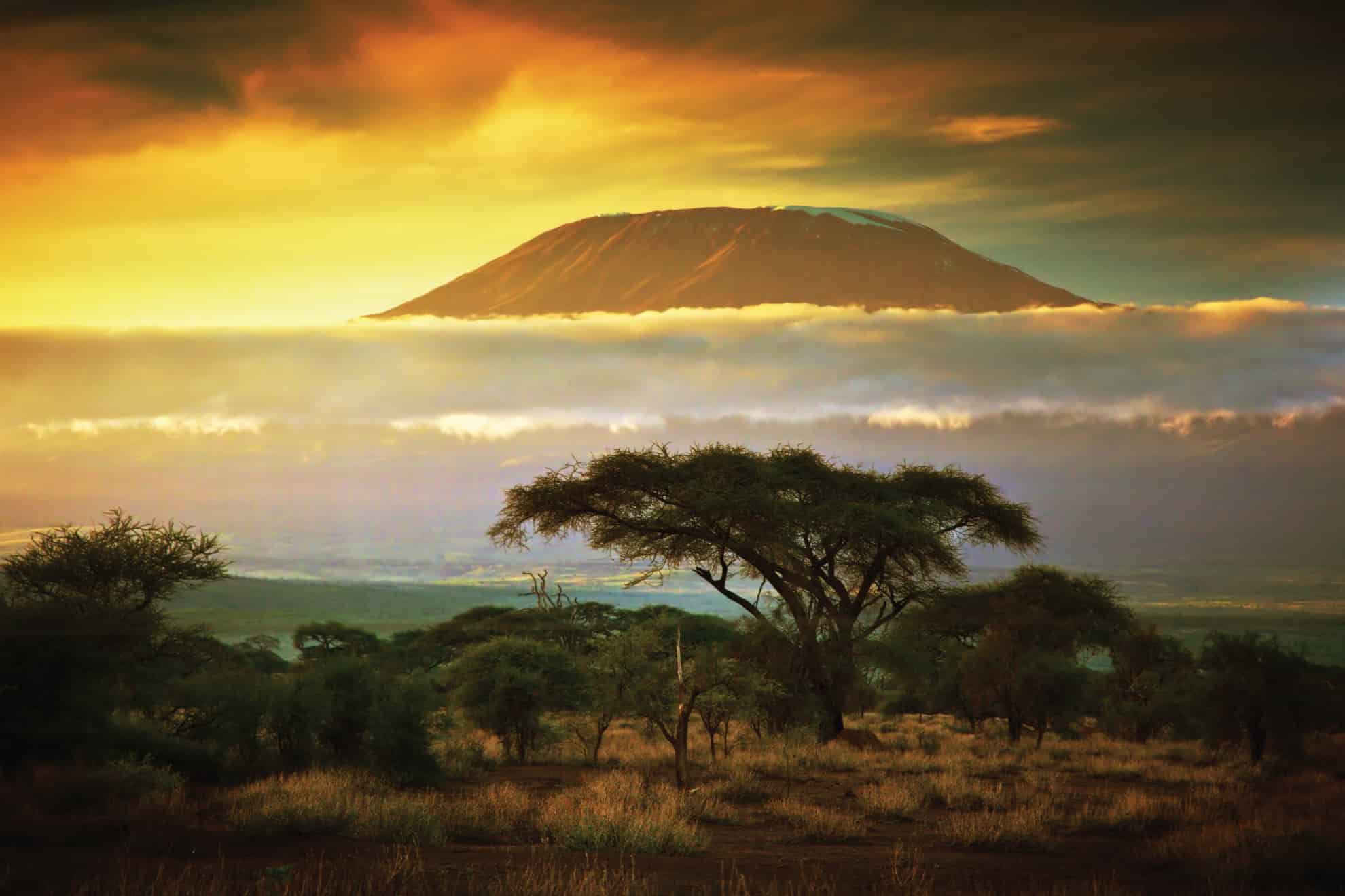 Tanzania Safari on a Budget: What's Realistic