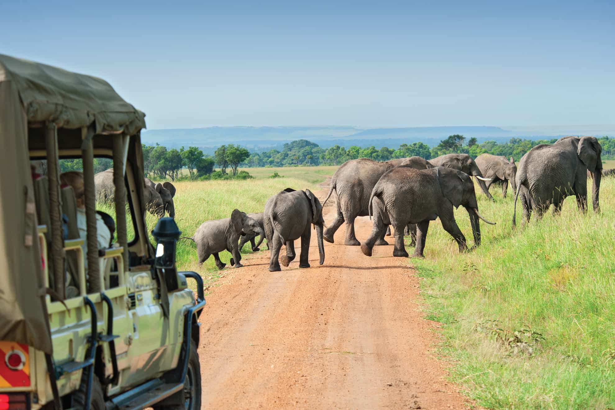 Tanzania vs Botswana vs Namibia: Which Safari?