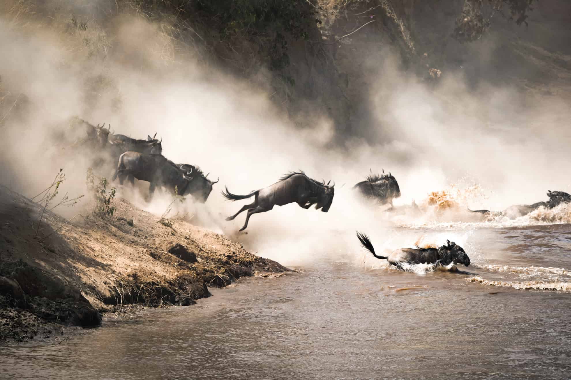 Is It Safe to Travel to Tanzania in 2026?